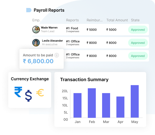 Payroll Reports That Actually Help